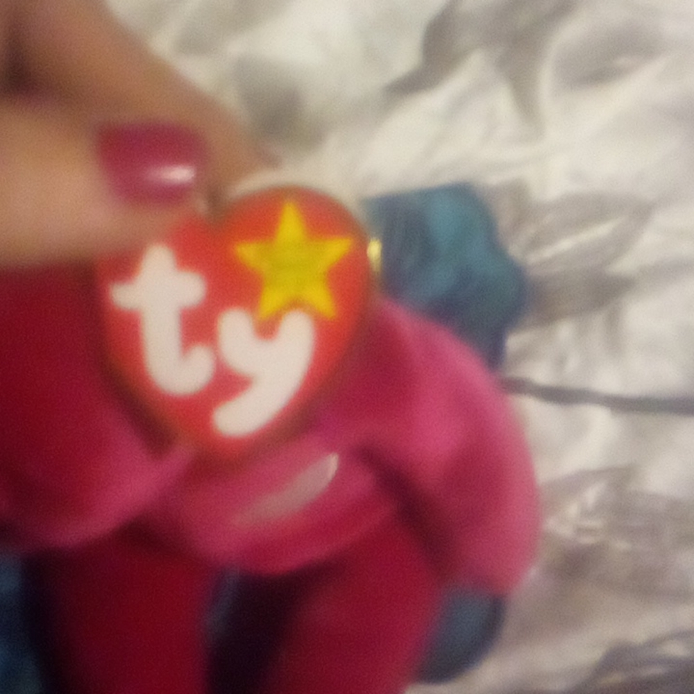 Ty bear - Picture 3 of 4